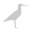 Curlew logo